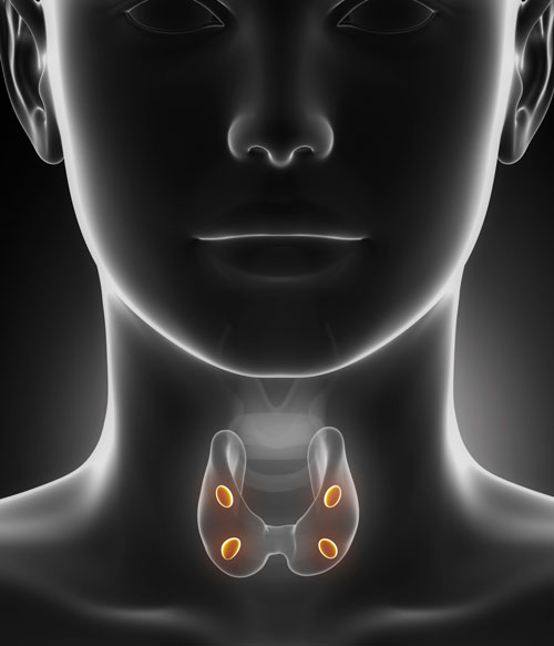 thyroid and parathyroid treatment in carlsbad - la jolla - murrieta